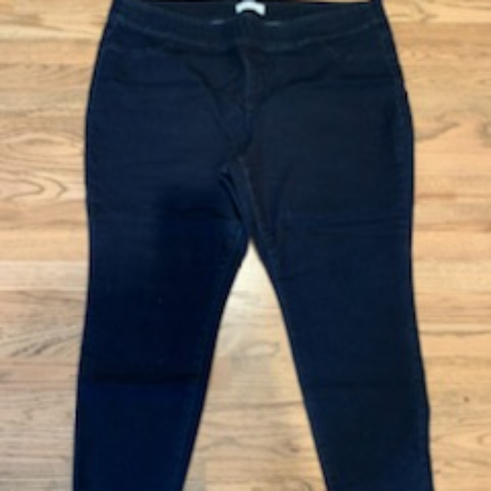 Lane Bryant Full Length Jegging 24W